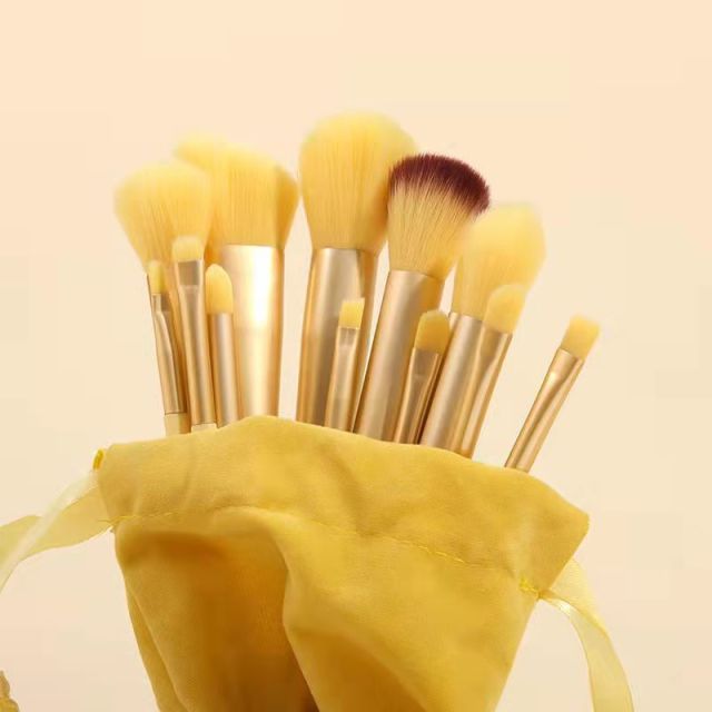 Soft Fluffy Makeup Brushes Set 13Pcs - Golden Buy