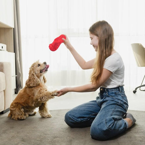 Indestructible Large Toys - Golden Buy