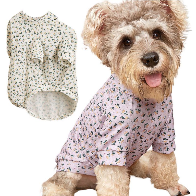 Sweatshirt For Pet - Golden Buy