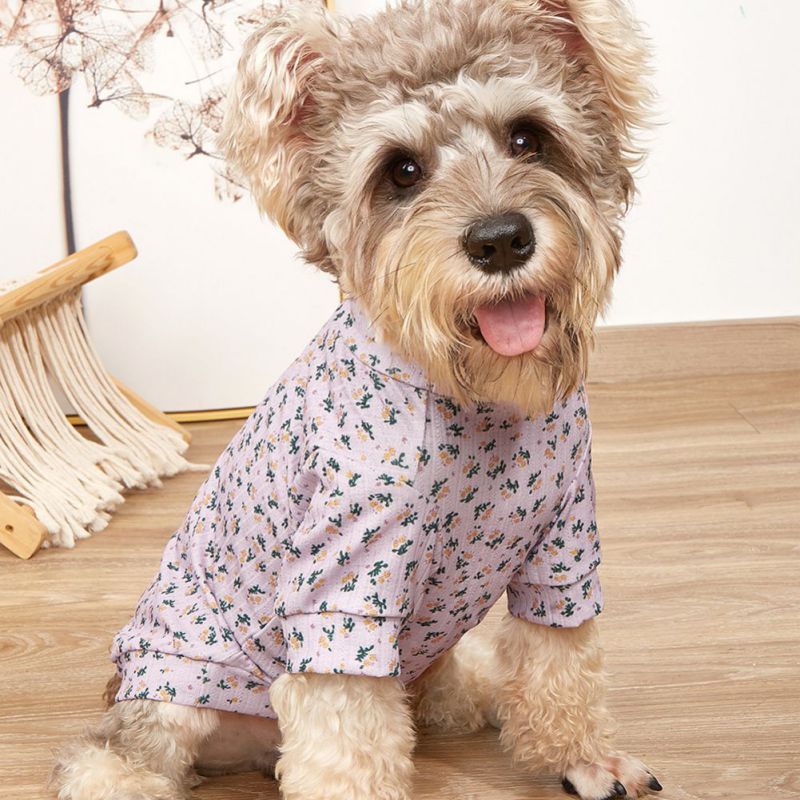 Sweatshirt For Pet - Golden Buy